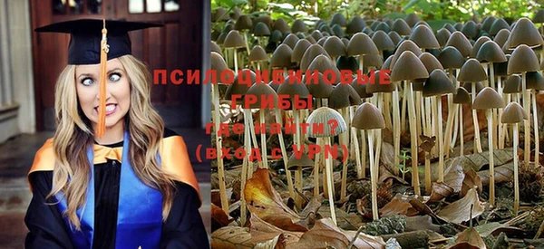 mdpv Абдулино