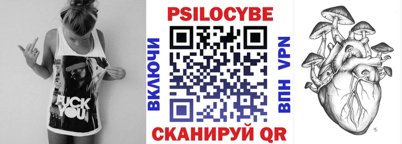 Галлюциногенные грибы Psilocybine cubensis  mega ONION  Новокубанск 