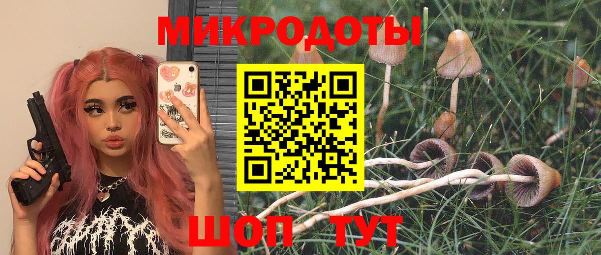 Новокубанск  Псилоцибиновые грибы прущие грибы  Вход с VPN 